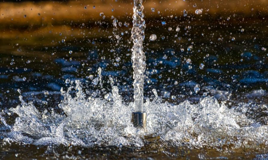 Comment installer et utiliser une pompe fontaine solaire
